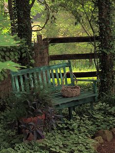 a green bench with a basket sitting on top of it in the middle of some bushes