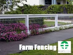 purple and white flowers growing on the side of a fenced in area with grass