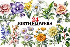 the 24 birthday flowers clipart bundle