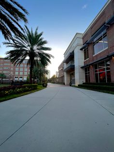 an empty street in front of a building with palm trees on both sides and windows