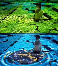 two pictures one with a boy and the other with water lilies in it's pond