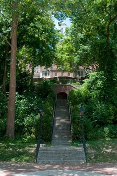 stairs leading up to the top of a building surrounded by trees and bushes in front of it