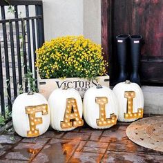 three pumpkins with the word fall spelled out on them in front of a potted plant