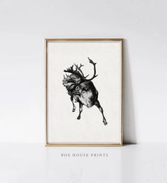 a black and white drawing of a deer with antlers on it's head