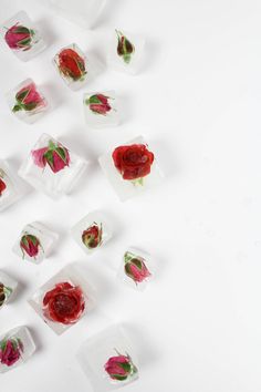 ice cubes with flowers on them and one being cut in half to look like roses