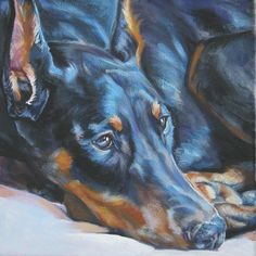 a painting of a doberman laying down