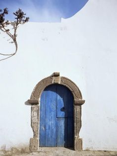 a blue door in front of a white wall with a tree growing out of it