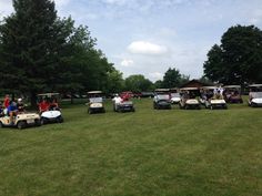 several golf carts lined up in the grass