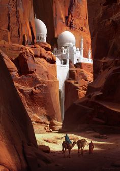 two camels are walking through the desert with some buildings in the background and people on horseback