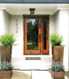 two large planters with plants in front of a door