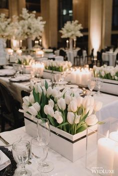 white tulips in a square vase on a table with candles and wine glasses