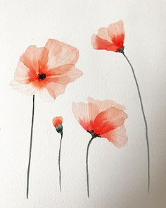 three red flowers on a white background painted with watercolors in the style of impressionism