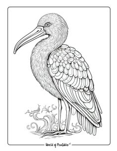 a drawing of a bird with long legs and large beak, sitting on the ground