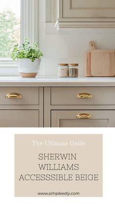 the ultimate guide to sherylin williams's accessible kitchen cabinet doors and drawers