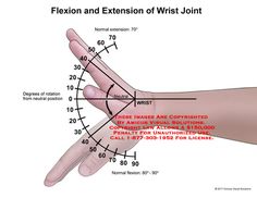 Flexion And Extension, Physical Therapy School, Physical Therapy Student, Remedial Massage, Physical Therapist Assistant, Rehabilitation Exercises, Sports Therapy