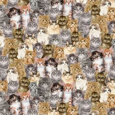 a large group of cats sitting together on top of a ruler sheet in different colors