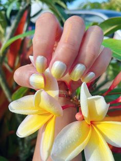 This Incoco set should be called plumeria instead 🤩 Lemon Tea, Street Nails, Color Street Nails, Nail Inspiration, Color Street, Nails Inspiration, Manicure, Lemon