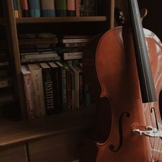 a cello leaning against a bookshelf in front of a bookcase