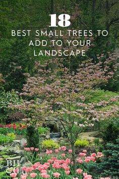 the top 10 best flowering trees and shrubs for your yard, with text overlay