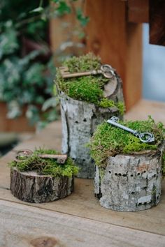 three pieces of wood with moss growing on them