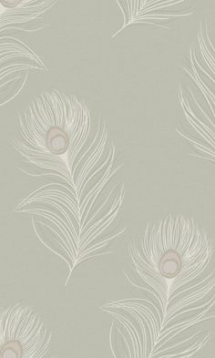 a wallpaper with white feathers on the side and light green backgrounnd