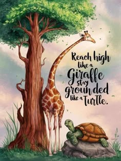 a giraffe standing next to a tree with a turtle under it