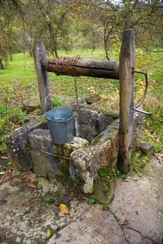 an old well in the woods with a bucket on it