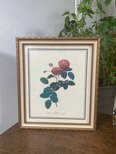 a framed flower print sitting on top of a table next to a potted plant