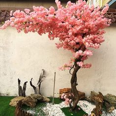 a bonsai tree with pink flowers in front of a white wall and green grass