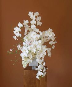 a vase with white flowers in it sitting on a wooden stand against a brown wall