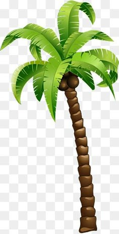 a palm tree with green leaves on a white background, transparent png and psd