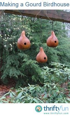 three clay pears hanging from a branch in front of some trees and bushes,