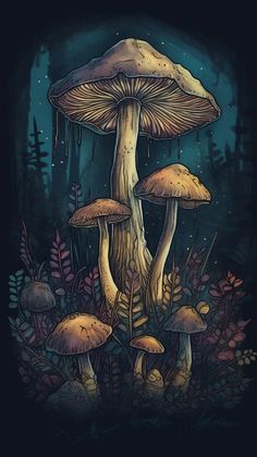 three mushrooms in the forest with blue lights