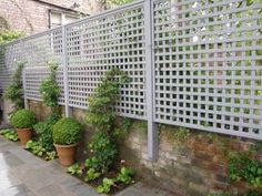 several potted plants on the side of a brick wall in front of a fence