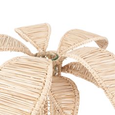 a close up of a wicker basket with two leaves on the top and one leaf at the bottom