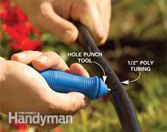 a person is using a garden hose to prune flowers with the help of an electric hand pump