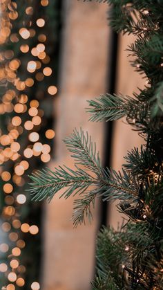 a christmas tree with lights in the background