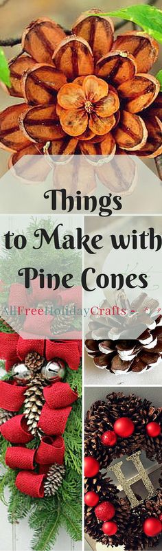 christmas wreaths and pine cones with the words things to make with pine cones