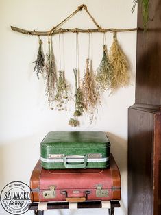 two suitcases sitting on top of each other in front of a wall hanging plant