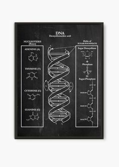 a black and white poster with the diagram of different types of dnas on it