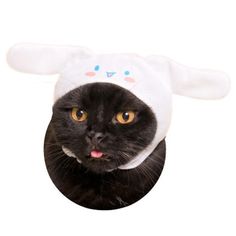 a black cat wearing a white bunny hat with ears on it's head, looking up at the camera