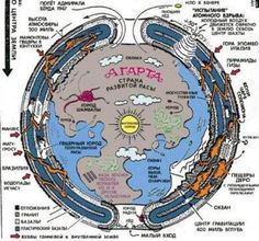 the diagram shows what is inside an animal's stomach