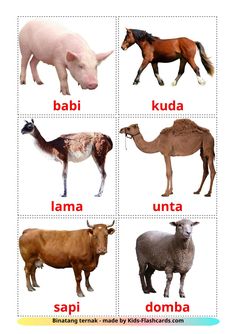 the animals are labeled in different languages