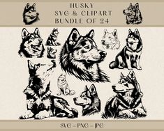 husky svg and clipart bundle of 9