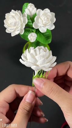 two hands are holding white flowers with green stems