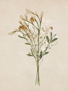 a painting of white flowers on a beige background