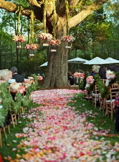 an outdoor ceremony is set up under a large tree with flowers on the ground and hanging baskets