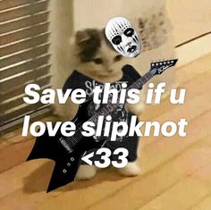 a cat with a guitar and a mask on it's head that says save this if u love slipknot 23