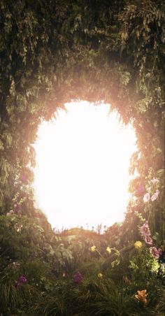 an image of a light coming out from the center of a circle surrounded by flowers