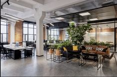 an office with plants and couches in the foreground, large windows on both sides